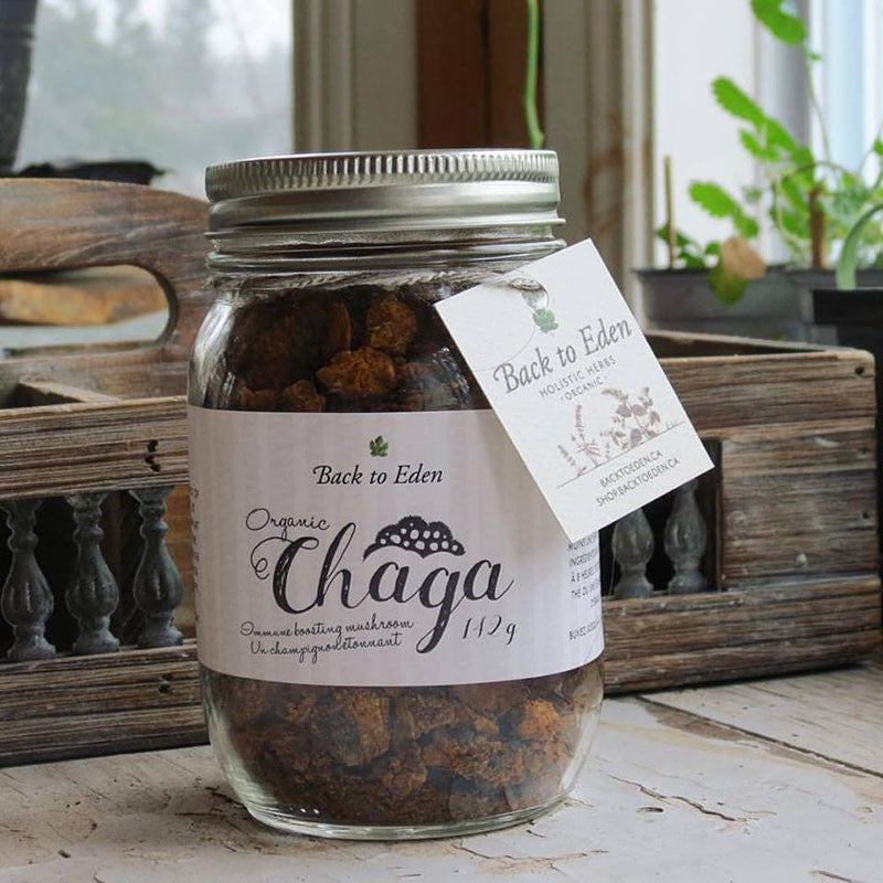 Chaga Super Mushroom - Canada