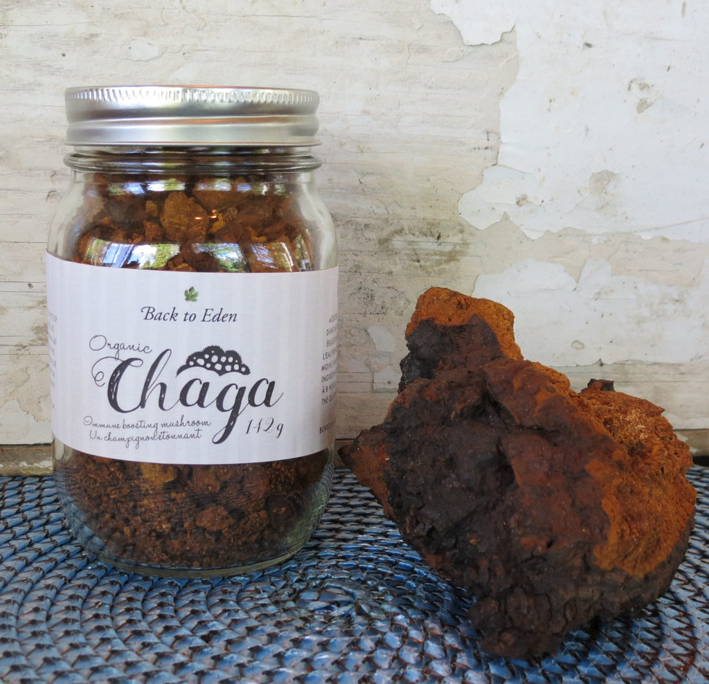 Chaga Super Mushroom - Canada