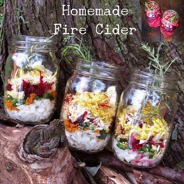 Fire Cider - Herbal Winter Pick me Up